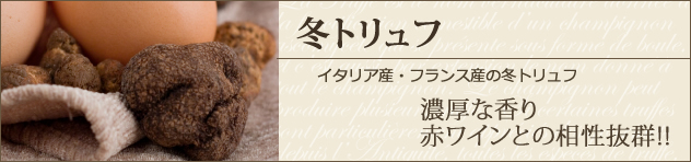 フランス産　冬トリュフ